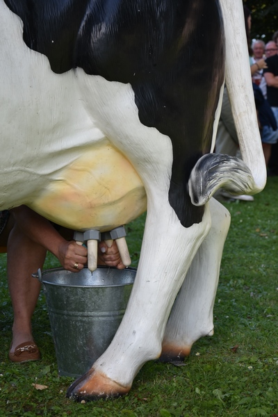 Kultura, Tradycja... i Placki! 2023